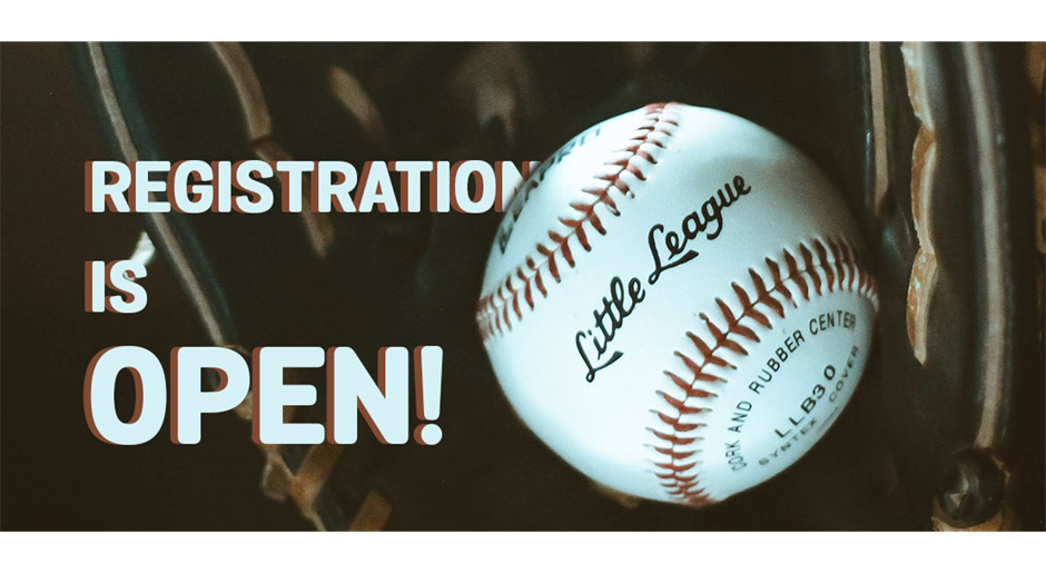 Naperville Little League Baseball 2024 Little League